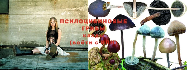 мдпв Краснотурьинск