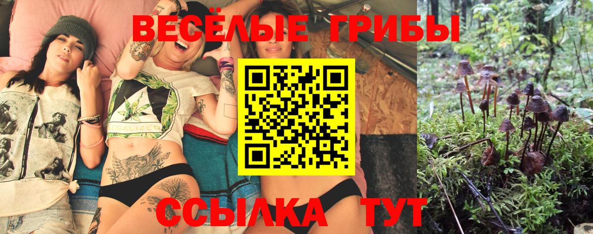 Галлюциногенные грибы мицелий  Галлюциногенные грибы Magic Shrooms  Вход с VPN  купить наркотик  Заволжье 