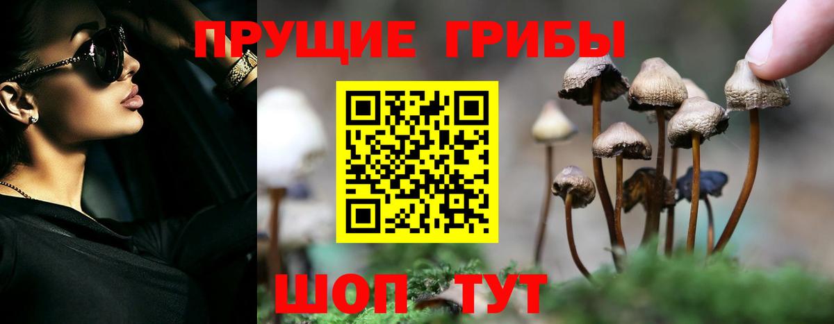 Галлюциногенные грибы мицелий Заволжье
